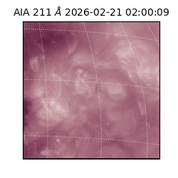 saia - 2026-02-21T02:00:09.632000