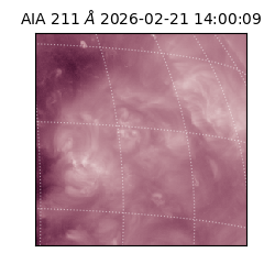 saia - 2026-02-21T14:00:09.626000