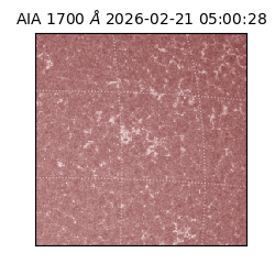 saia - 2026-02-21T05:00:28.729000