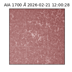 saia - 2026-02-21T12:00:28.717000