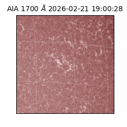 saia - 2026-02-21T19:00:28.717000