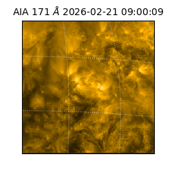 saia - 2026-02-21T09:00:09.353000