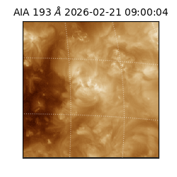 saia - 2026-02-21T09:00:04.843000