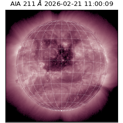 saia - 2026-02-21T11:00:09.633000