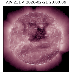 saia - 2026-02-21T23:00:09.632000