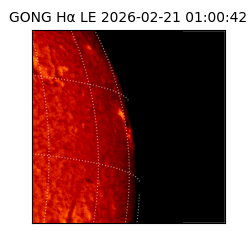 gong - 2026-02-21T01:00:42