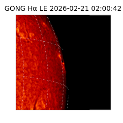 gong - 2026-02-21T02:00:42