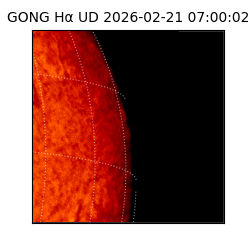 gong - 2026-02-21T07:00:02