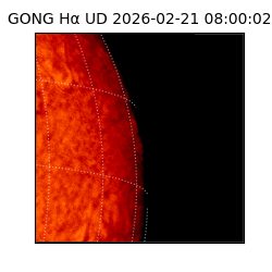 gong - 2026-02-21T08:00:02
