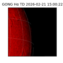 gong - 2026-02-21T15:00:22