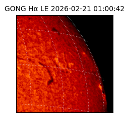 gong - 2026-02-21T01:00:42