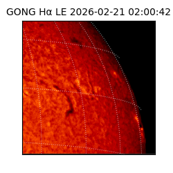 gong - 2026-02-21T02:00:42