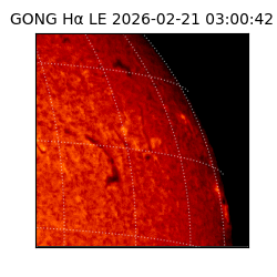gong - 2026-02-21T03:00:42