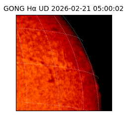 gong - 2026-02-21T05:00:02