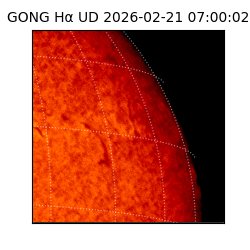 gong - 2026-02-21T07:00:02