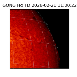 gong - 2026-02-21T11:00:22