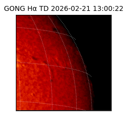 gong - 2026-02-21T13:00:22