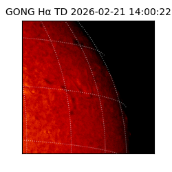 gong - 2026-02-21T14:00:22