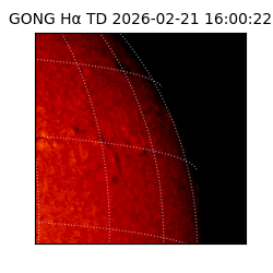 gong - 2026-02-21T16:00:22