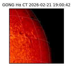 gong - 2026-02-21T19:00:42