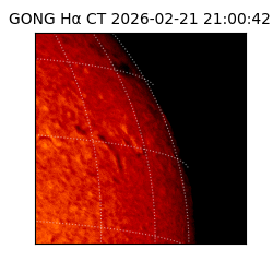 gong - 2026-02-21T21:00:42