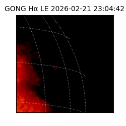 gong - 2026-02-21T23:04:42