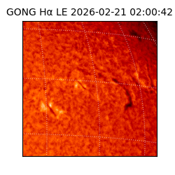 gong - 2026-02-21T02:00:42