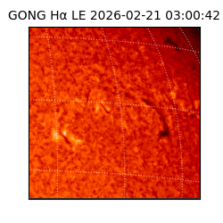 gong - 2026-02-21T03:00:42
