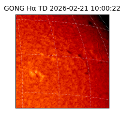 gong - 2026-02-21T10:00:22