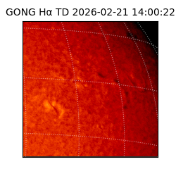 gong - 2026-02-21T14:00:22