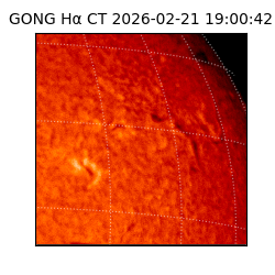 gong - 2026-02-21T19:00:42
