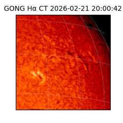 gong - 2026-02-21T20:00:42