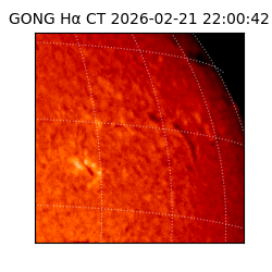 gong - 2026-02-21T22:00:42
