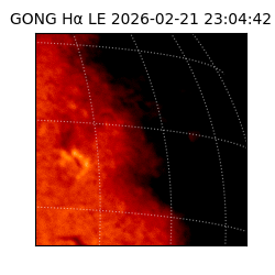 gong - 2026-02-21T23:04:42