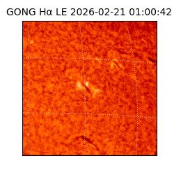 gong - 2026-02-21T01:00:42