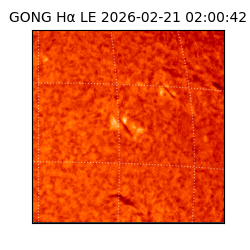 gong - 2026-02-21T02:00:42