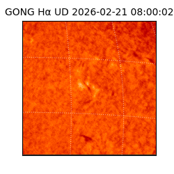 gong - 2026-02-21T08:00:02