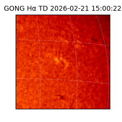 gong - 2026-02-21T15:00:22