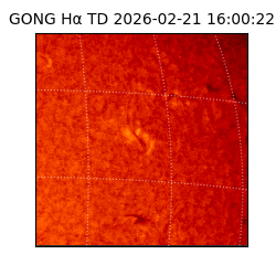 gong - 2026-02-21T16:00:22