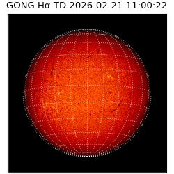 gong - 2026-02-21T11:00:22