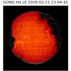 gong - 2026-02-21T23:04:42