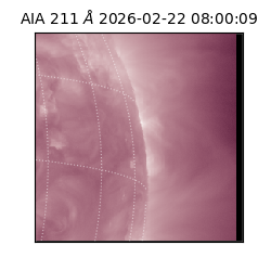 saia - 2026-02-22T08:00:09.632000