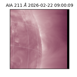 saia - 2026-02-22T09:00:09.626000
