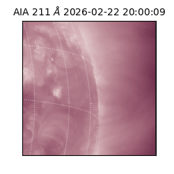 saia - 2026-02-22T20:00:09.632000