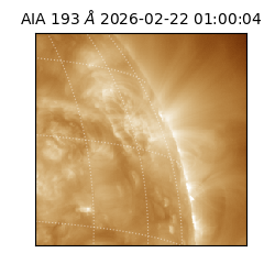 saia - 2026-02-22T01:00:04.843000