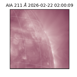 saia - 2026-02-22T02:00:09.626000