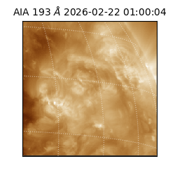 saia - 2026-02-22T01:00:04.843000