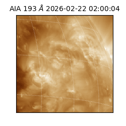 saia - 2026-02-22T02:00:04.843000