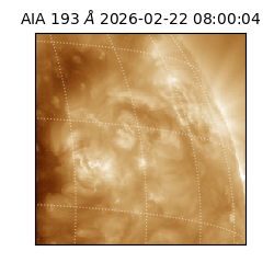 saia - 2026-02-22T08:00:04.843000