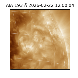 saia - 2026-02-22T12:00:04.843000